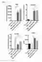 Fig. 04 - Mesenchymal stem cells expressing anti-inflammatory cytokines and methods of use