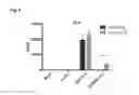 Fig. 05 - Mesenchymal stem cells expressing anti-inflammatory cytokines and methods of use
