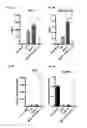 Fig. 12 - Mesenchymal stem cells expressing anti-inflammatory cytokines and methods of use