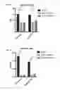 Fig. 14 - Mesenchymal stem cells expressing anti-inflammatory cytokines and methods of use