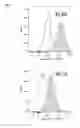 Fig. 15 - Mesenchymal stem cells expressing anti-inflammatory cytokines and methods of use