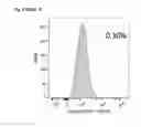 Fig. 18 - Mesenchymal stem cells expressing anti-inflammatory cytokines and methods of use