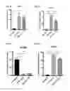 Fig. 20 - Mesenchymal stem cells expressing anti-inflammatory cytokines and methods of use