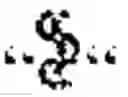 Fig. 02 - Butyrylcholinesterase zwitterionic polymer conjugates