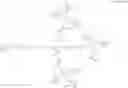 Fig. 49 - Butyrylcholinesterase zwitterionic polymer conjugates
