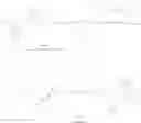Fig. 86 - Butyrylcholinesterase zwitterionic polymer conjugates