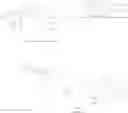 Fig. 89 - Butyrylcholinesterase zwitterionic polymer conjugates