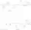 Fig. 92 - Butyrylcholinesterase zwitterionic polymer conjugates