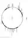 Fig. 02 - SINGLE VARIABLE DOMAIN T-CELL RECEPTORS