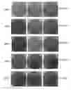 Fig. 28 - SYSTEMS AND METHODS FOR SANITIZING SURFACES