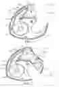 Fig. 02 - DRY POWDER INHALERS