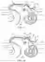 Fig. 06 - DRY POWDER INHALERS