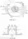 Fig. 08 - DRY POWDER INHALERS