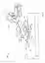 Fig. 08 - Systems and methods for anchoring medical devices