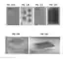 Fig. 08 - Bioactive components conjugated to dissolvable substrates of microneedle arrays