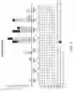 Fig. 10 - HIGH FREQUENCY MODULATION OF SACRAL NERVES TO ADDRESS PELVIC PAIN AND GASTROUROGENITAL CONDITIONS, AND ASSOCIATED SYSTEMS AND METHODS
