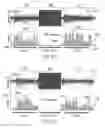 Fig. 09 - System and method to control a non-paresthesia stimulation based on sensory action potentials