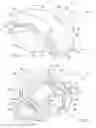 Fig. 08 - Magnetic stimulation coils and ferromagnetic components for treatment and diagnostic procedures