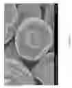 Fig. 02 - Fixed abrasive three-dimensional lapping and polishing plate and methods of making and using the same