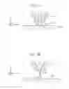 Fig. 06 - Manufacturing method and forming apparatus of three-dimensional formed object