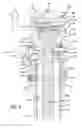 Fig. 07 - Canopy pole system