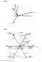 Fig. 09 - Electric power steering apparatus