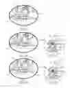 Fig. 08 - Strapping tool