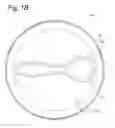 Fig. 03 - CONTAINER, SEAL WITH BLISTER ELEMENT, AND SCOOP THEREFOR