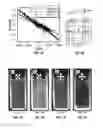 Fig. 02 - Orientation of materials via application of a magnetic field and use of magnetically-oriented devices and device component