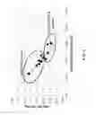 Fig. 07 - Alkali-free borosilicate glasses with low post-HF etch roughness