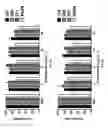 Fig. 07 - Polyamine compounds targeting the efflux pumps of multi-drug resistant bacterial pathogens and methods of using the same