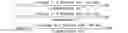 Fig. 02 - Water-soluble UV-absorbing compounds and uses thereof