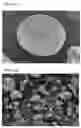 Fig. 02 - Carrier for ligand immobilization