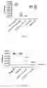 Fig. 06 - ANTIMICROBIAL COMPOUNDS