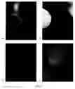 Fig. 08 - ANTIMICROBIAL COMPOUNDS