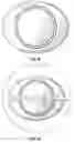 Fig. 19 - Lamp with charger