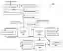 Fig. 01 - SYSTEMS AND METHODS FOR PROCESSING CEREAL GRASSES