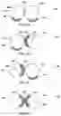 Fig. 05 - SYSTEMS AND METHODS FOR PROCESSING CEREAL GRASSES