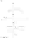Fig. 18 - HEAT TRANSFER BETWEEN TRACER AND PIPE
