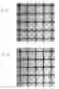 Fig. 32 - Adaptive optics system and optical device