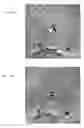 Fig. 34 - Adaptive optics system and optical device