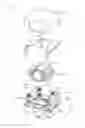 Fig. 263 - Optical element driving mechanism