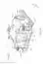 Fig. 44 - Optical element driving mechanism