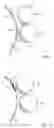Fig. 08 - Developing device, image forming apparatus, and developing condition correcting method