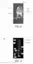 Fig. 03 - Method and apparatus for person super resolution from low resolution image