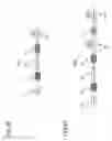 Fig. 08 - Cross domain medical image segmentation