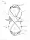 Fig. 01 - Ballet training device