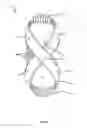 Fig. 02 - Ballet training device