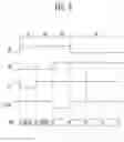 Fig. 08 - Pixel and organic light emitting display device including the same