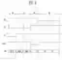 Fig. 10 - Pixel and organic light emitting display device including the same